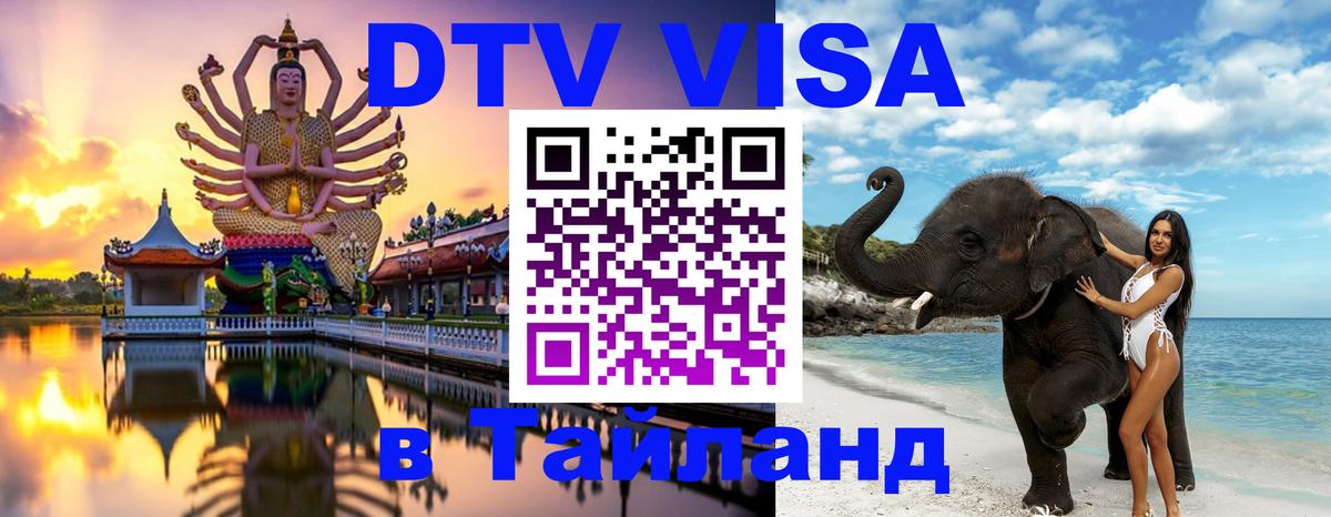 Оформление DTV визы под ключ: стоимость и тарифы, только загранпаспорт - 